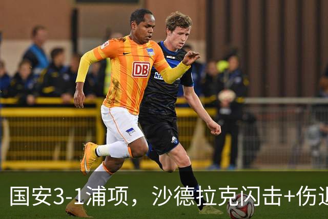 国安3-1浦项，沙德拉克闪击+伤退，张稀哲传射，杜齐亚克建功