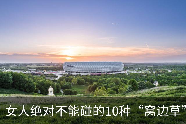 女人绝对不能碰的10种“窝边草”，碰了，守不住边界注定身败名裂